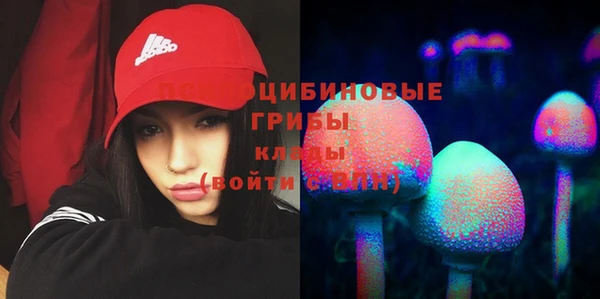 каннабис Арсеньев